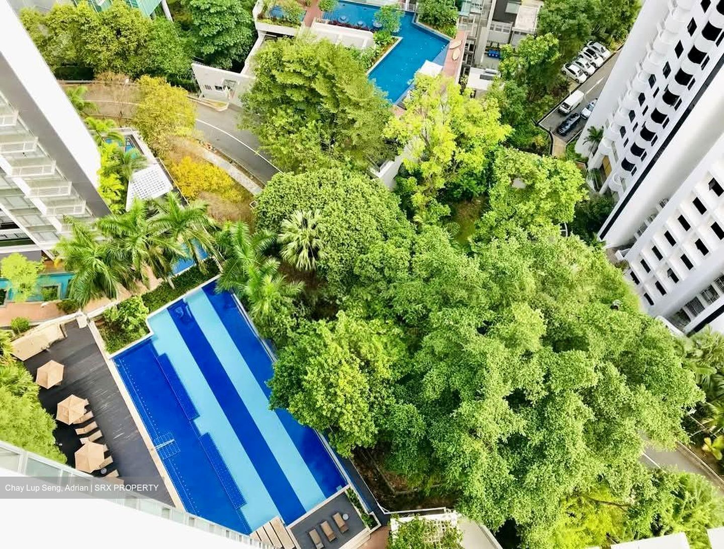 Cairnhill Residences (D9), Apartment #564248421